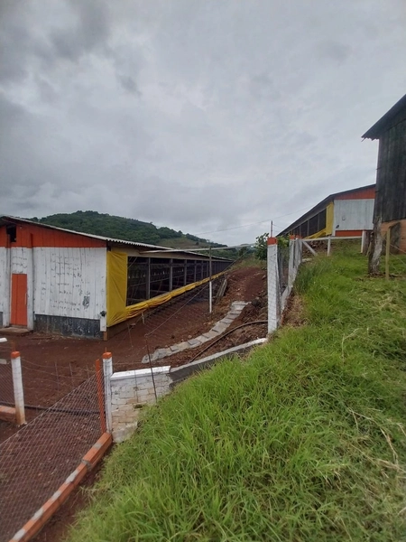 LINDA PROPRIEDADE A VENDA . BARÃO DE COTEGIPE , RS: 14ª foto da galeria de imagens do imóvel