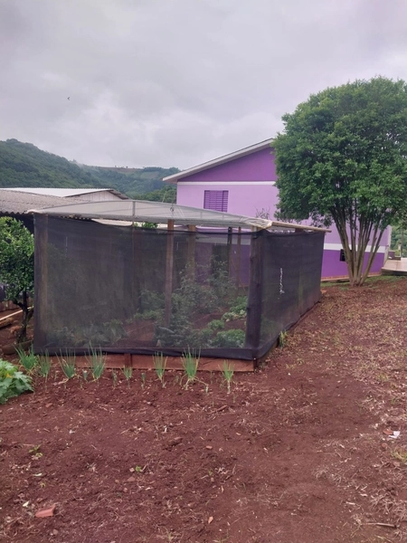 LINDA PROPRIEDADE A VENDA . BARÃO DE COTEGIPE , RS: 19ª foto da galeria de imagens do imóvel