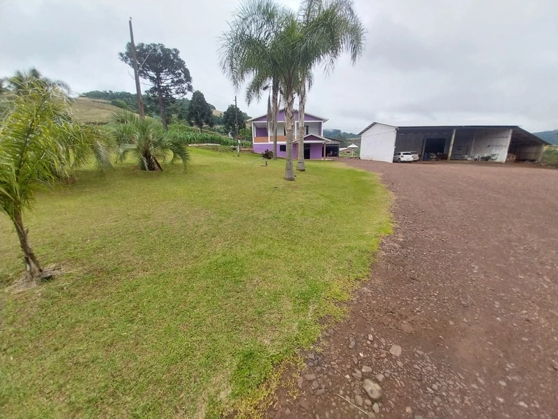 LINDA PROPRIEDADE A VENDA . BARÃO DE COTEGIPE , RS: 16ª foto da galeria de imagens do imóvel