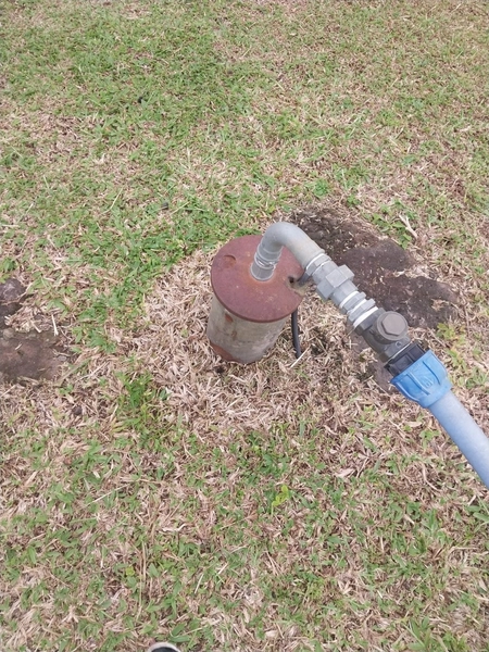 LINDA PROPRIEDADE A VENDA . BARÃO DE COTEGIPE , RS: 17ª foto da galeria de imagens do imóvel