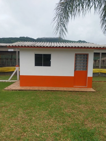 LINDA PROPRIEDADE A VENDA . BARÃO DE COTEGIPE , RS: 10ª foto da galeria de imagens do imóvel