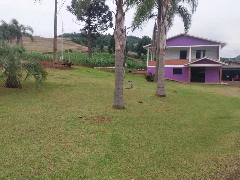 LINDA PROPRIEDADE A VENDA . BARÃO DE COTEGIPE , RS: 3ª foto da galeria de imagens do imóvel