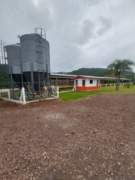 LINDA PROPRIEDADE A VENDA . BARÃO DE COTEGIPE , RS: 11ª foto da galeria de imagens do imóvel