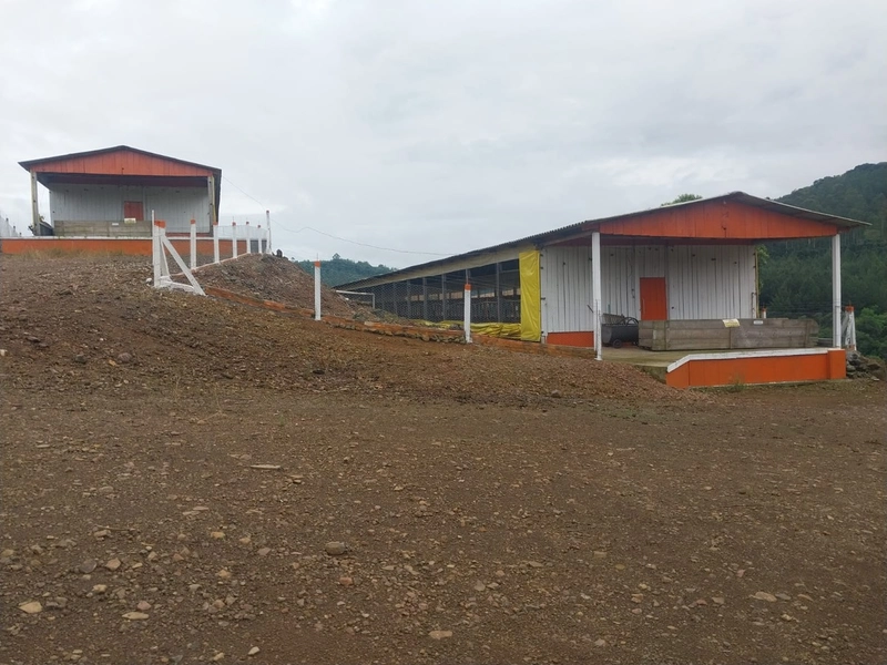 LINDA PROPRIEDADE A VENDA . BARÃO DE COTEGIPE , RS: 12ª foto da galeria de imagens do imóvel