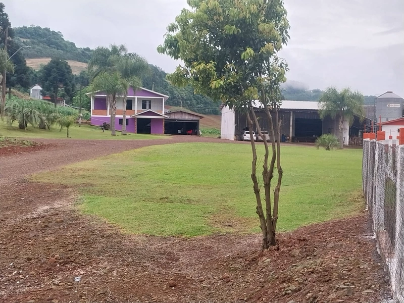 LINDA PROPRIEDADE A VENDA . BARÃO DE COTEGIPE , RS: 18ª foto da galeria de imagens do imóvel
