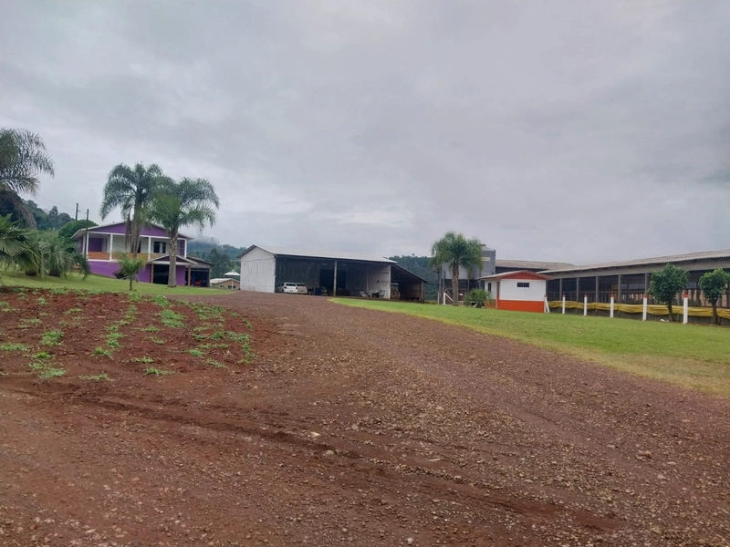 LINDA PROPRIEDADE A VENDA . BARÃO DE COTEGIPE , RS: 15ª foto da galeria de imagens do imóvel