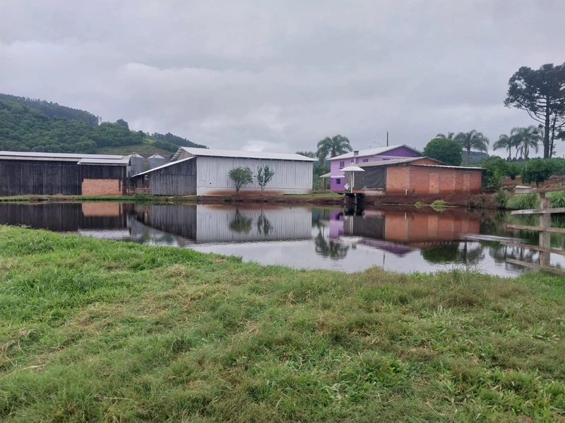 LINDA PROPRIEDADE A VENDA . BARÃO DE COTEGIPE , RS: 5ª foto da galeria de imagens do imóvel