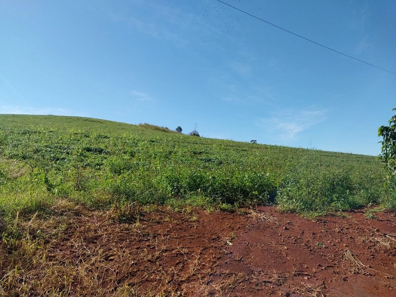 Área de terras em Caxambu / SC: 9ª foto da galeria de imagens do imóvel