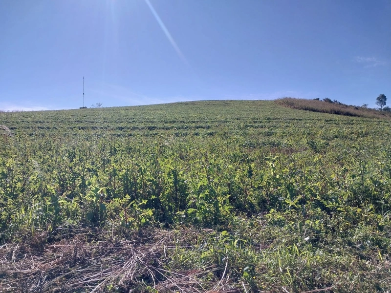 Área de terras em Caxambu / SC: 3ª foto da galeria de imagens do imóvel