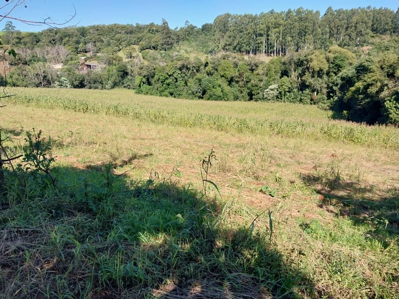 Área de terras em Caxambu / SC: 10ª foto da galeria de imagens do imóvel