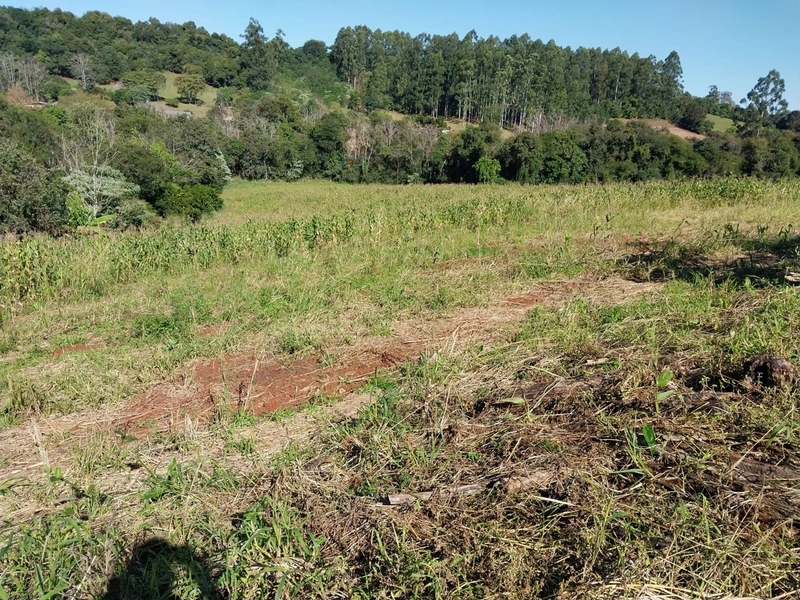 Área de terras em Caxambu / SC: 2ª foto da galeria de imagens do imóvel