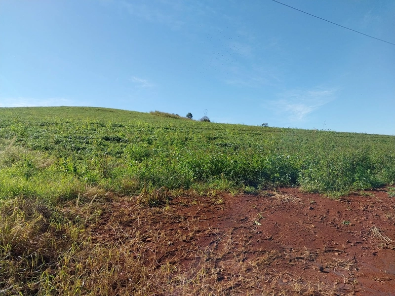 Área de terras em Caxambu / SC: 7ª foto da galeria de imagens do imóvel