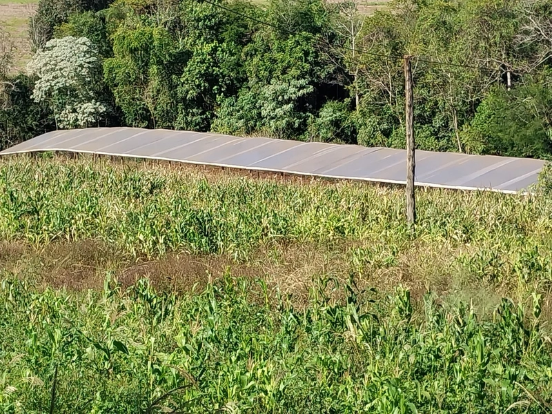Área de terras em Caxambu / SC: 8ª foto da galeria de imagens do imóvel