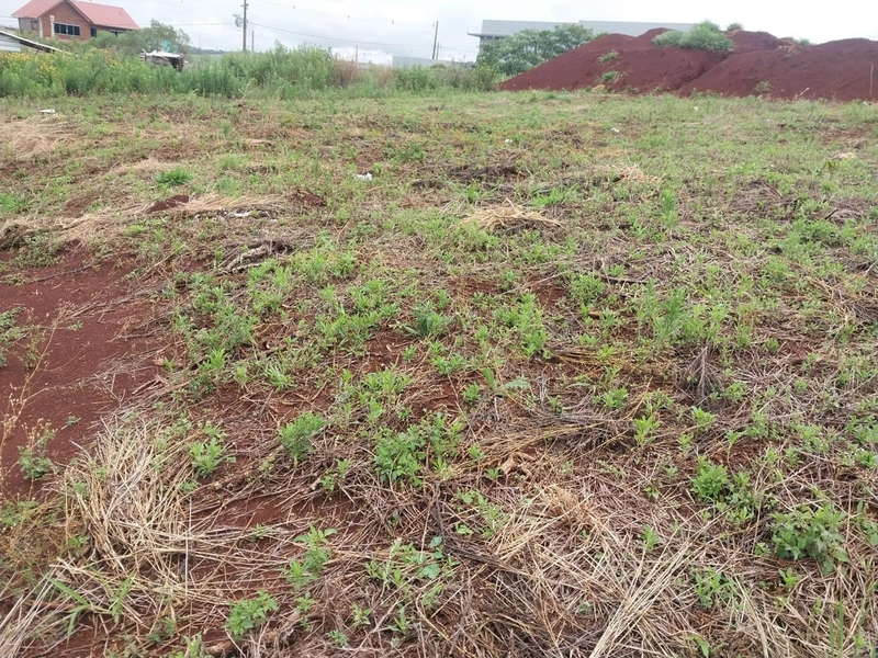 Terreno no Bairro Dom Leonardo - Chapecó-SC: 4ª foto da galeria de imagens do imóvel