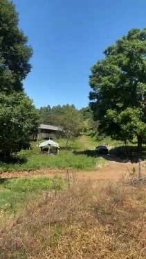 Área de Terras – Formosa do Sul - SC: 14ª foto da galeria de imagens do imóvel