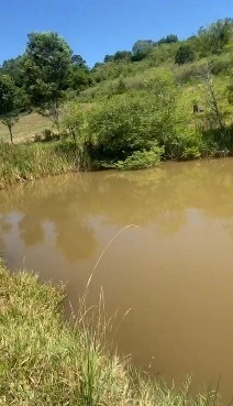 Área de Terras – Formosa do Sul - SC: 16ª foto da galeria de imagens do imóvel