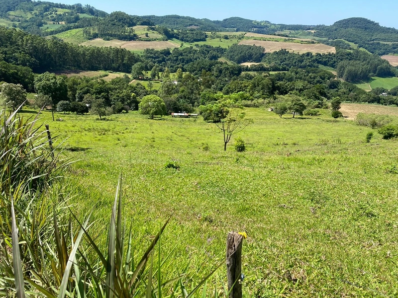 Área de Terras – Formosa do Sul - SC: 4ª foto da galeria de imagens do imóvel