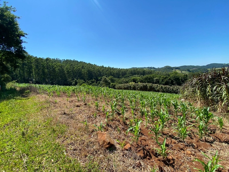 Área de Terras – Formosa do Sul - SC: 1ª foto da galeria de imagens do imóvel