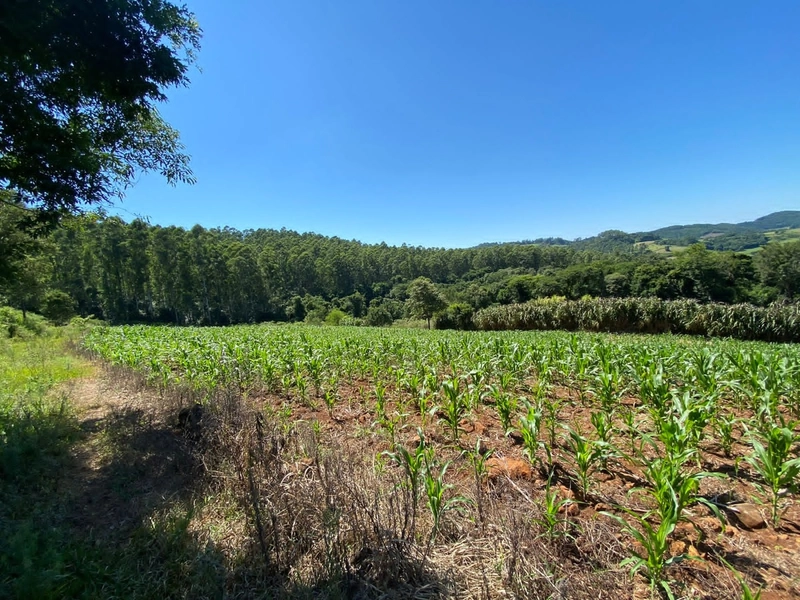 Área de Terras – Formosa do Sul - SC: 5ª foto da galeria de imagens do imóvel