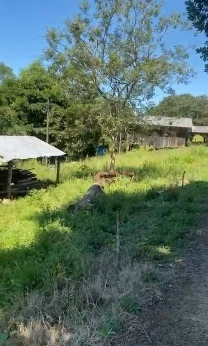 Área de Terras – Formosa do Sul - SC: 13ª foto da galeria de imagens do imóvel