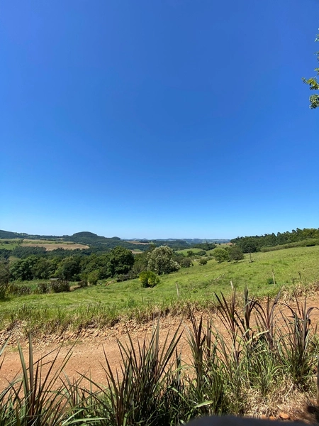 Área de Terras – Formosa do Sul - SC: 6ª foto da galeria de imagens do imóvel