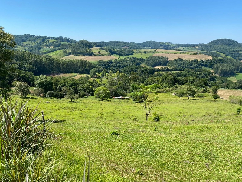 Área de Terras – Formosa do Sul - SC: 12ª foto da galeria de imagens do imóvel
