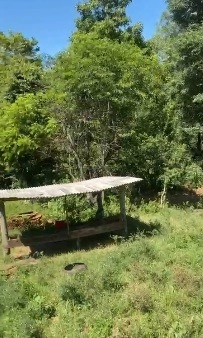 Área de Terras – Formosa do Sul - SC: 15ª foto da galeria de imagens do imóvel