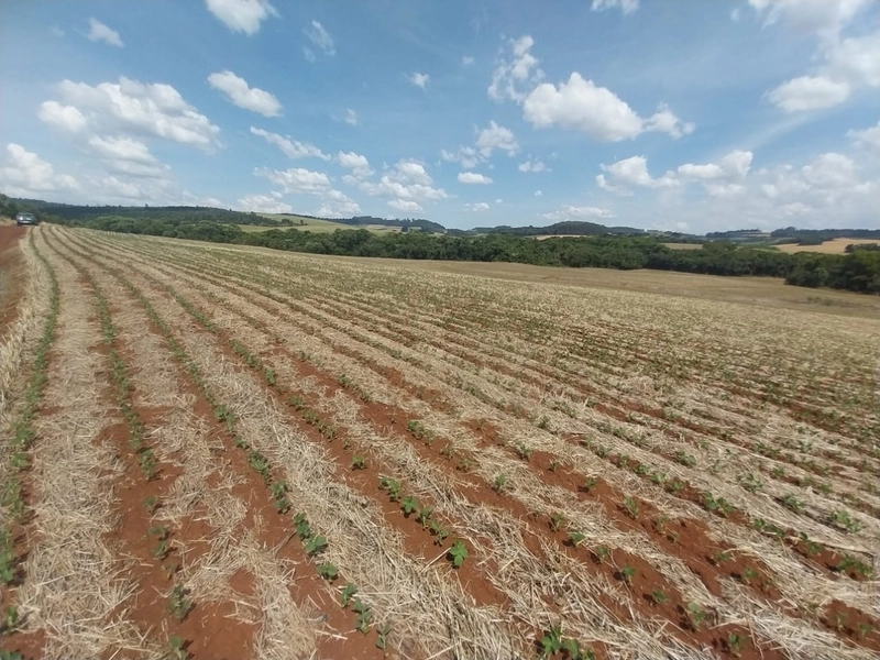Área de Terras – Chapecó-SC: 2ª foto da galeria de imagens do imóvel