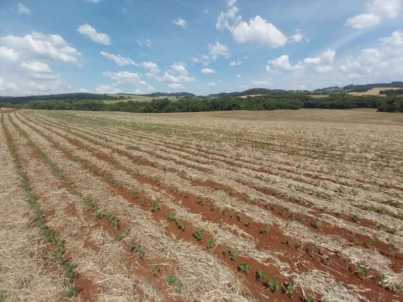 Área de Terras – Chapecó-SC: 5ª foto da galeria de imagens do imóvel