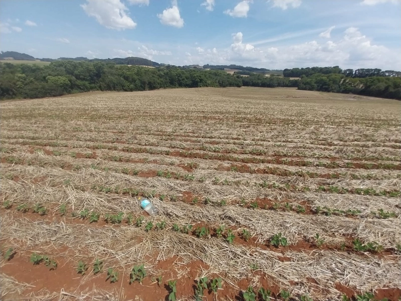 Área de Terras – Chapecó-SC: 3ª foto da galeria de imagens do imóvel
