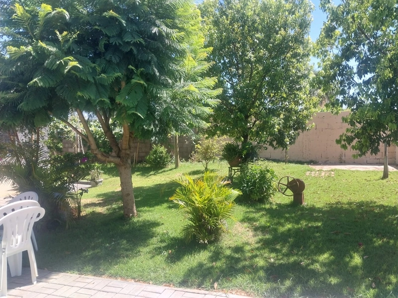 Chácara – Linha Colônia Cella - Chapecó-SC: 12ª foto da galeria de imagens do imóvel