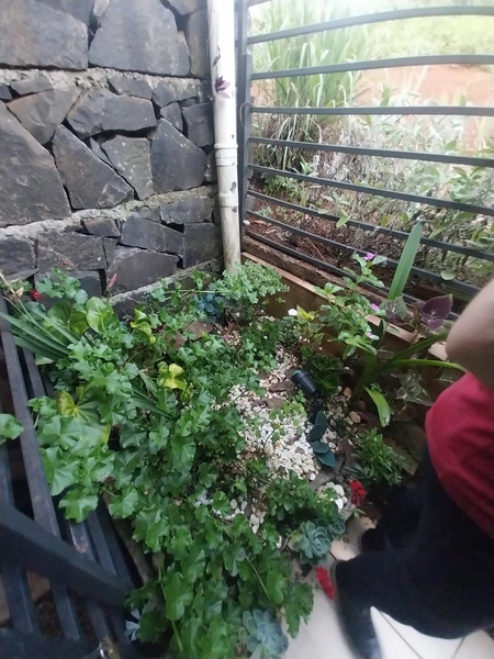 Casa a venda Bairro Efapi em Chapecó - SC: 10ª foto da galeria de imagens do imóvel