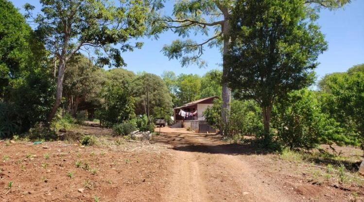 Área Rural para Venda em Itatiba do Sul / RS no bairro Interior: 9ª foto da galeria de imagens do imóvel