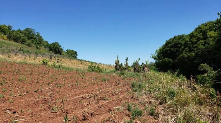 Área Rural para Venda em Itatiba do Sul / RS no bairro Interior: 18ª foto da galeria de imagens do imóvel