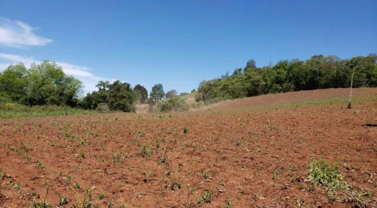 Área Rural para Venda em Itatiba do Sul / RS no bairro Interior: 7ª foto da galeria de imagens do imóvel
