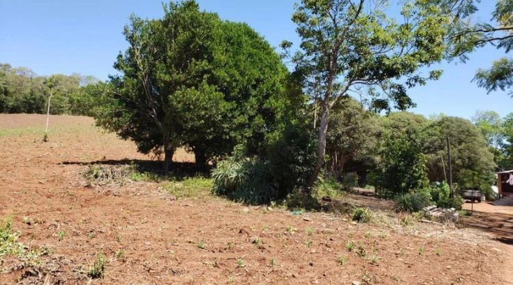 Área Rural para Venda em Itatiba do Sul / RS no bairro Interior: 8ª foto da galeria de imagens do imóvel