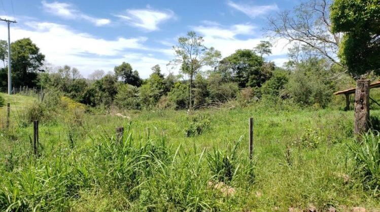 Área Rural para Venda em Itatiba do Sul / RS no bairro Interior: 11ª foto da galeria de imagens do imóvel