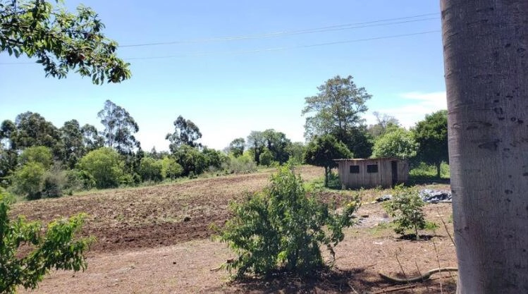 Área Rural para Venda em Itatiba do Sul / RS no bairro Interior: 10ª foto da galeria de imagens do imóvel