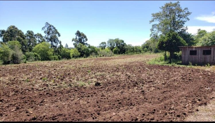 Área Rural para Venda em Itatiba do Sul / RS no bairro Interior: 5ª foto da galeria de imagens do imóvel