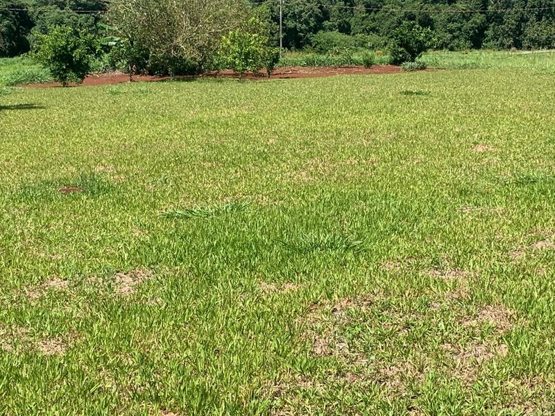 Terreno a VENDA no Condomínio Fechado Dom Guilherme – Guatambu-SC: 8ª foto da galeria de imagens do imóvel