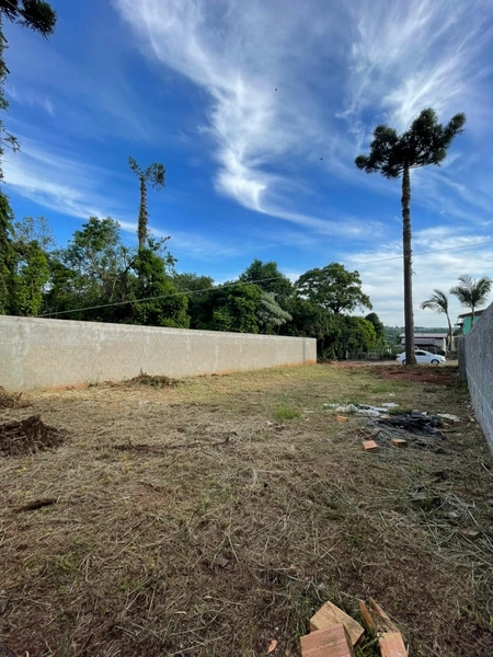 Terreno a Venda no Bairro Santo Antonio – Chapecó-SC: 6ª foto da galeria de imagens do imóvel