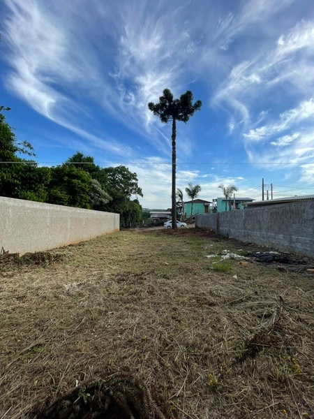 Terreno a Venda no Bairro Santo Antonio – Chapecó-SC: 4ª foto da galeria de imagens do imóvel