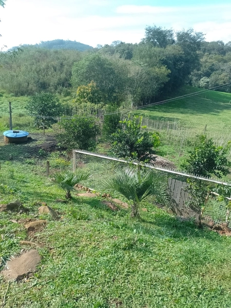 Chácara na Linha Tigre – Xaxim-SC: 9ª foto da galeria de imagens do imóvel