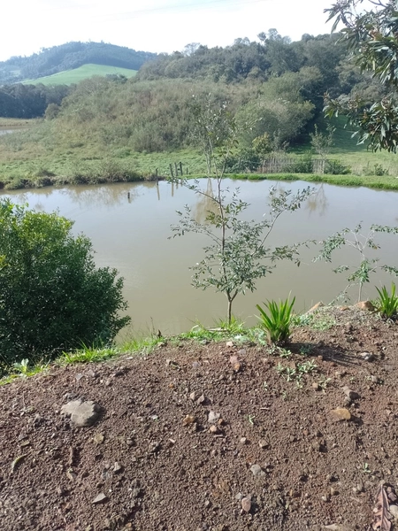 Chácara na Linha Tigre – Xaxim-SC: 7ª foto da galeria de imagens do imóvel