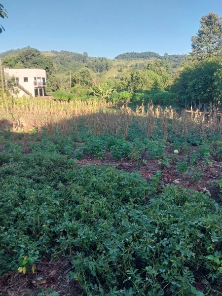 Chácara a venda em Águas de Chapecó-SC: 6ª foto da galeria de imagens do imóvel