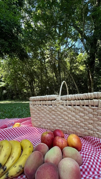 : 5ª foto da galeria de imagens do imóvel