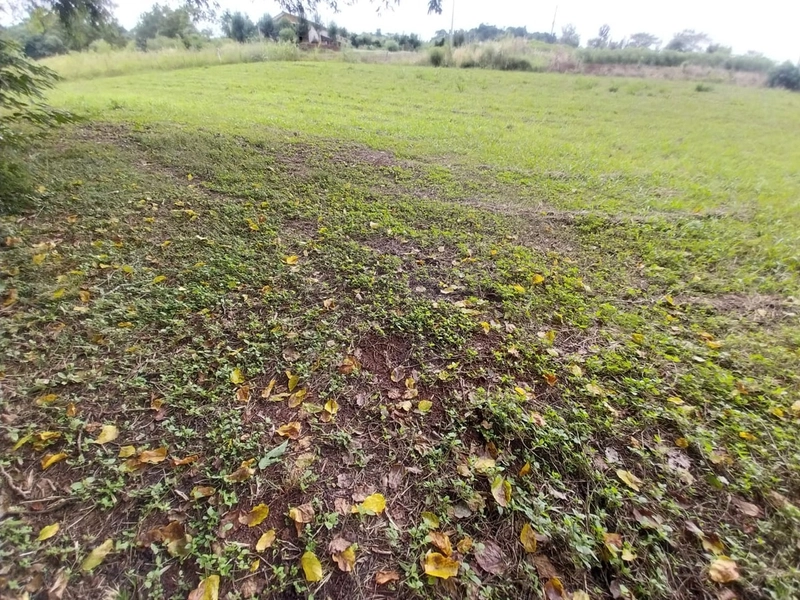 Chácara a venda - Linha Faxinal dos Rosas – Chapecó-SC