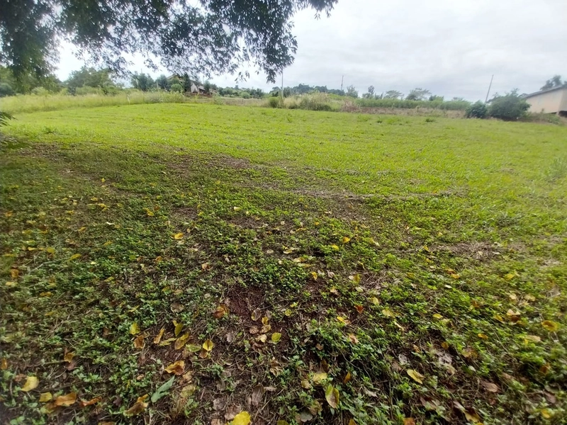 Chácara a venda - Linha Faxinal dos Rosas – Chapecó-SC: 4ª foto da galeria de imagens do imóvel