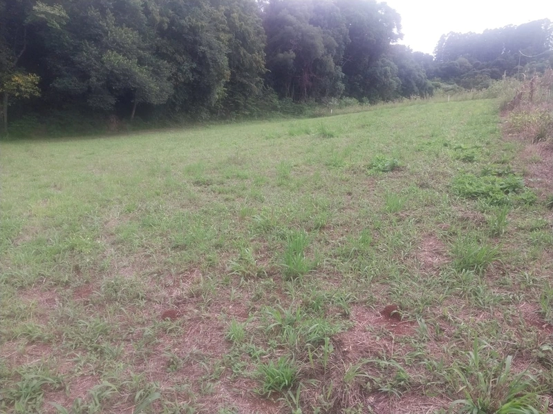 Chácara a venda - Linha Faxinal dos Rosas – Chapecó-SC: 2ª foto da galeria de imagens do imóvel