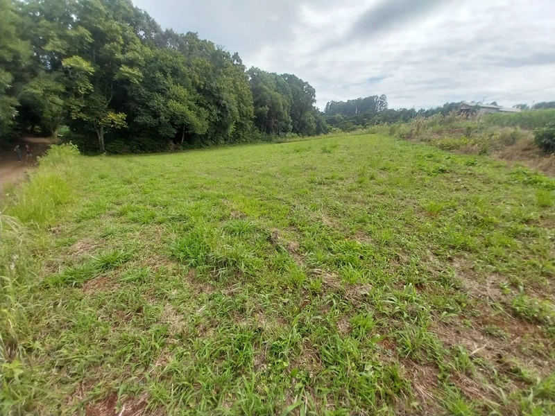 Chácara a venda - Linha Faxinal dos Rosas – Chapecó-SC: 5ª foto da galeria de imagens do imóvel